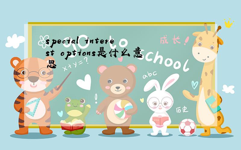 special interest options是什么意思