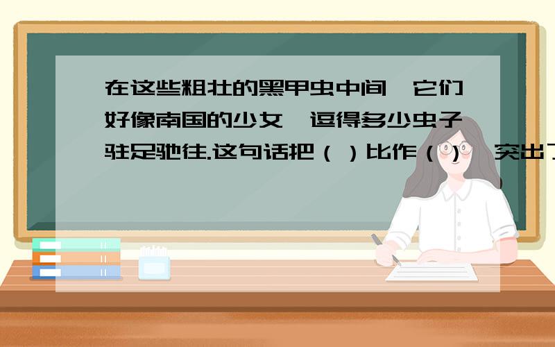 在这些粗壮的黑甲虫中间,它们好像南国的少女,逗得多少虫子驻足驰往.这句话把（）比作（）,突出了（）