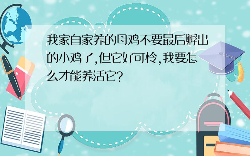 我家自家养的母鸡不要最后孵出的小鸡了,但它好可怜,我要怎么才能养活它?