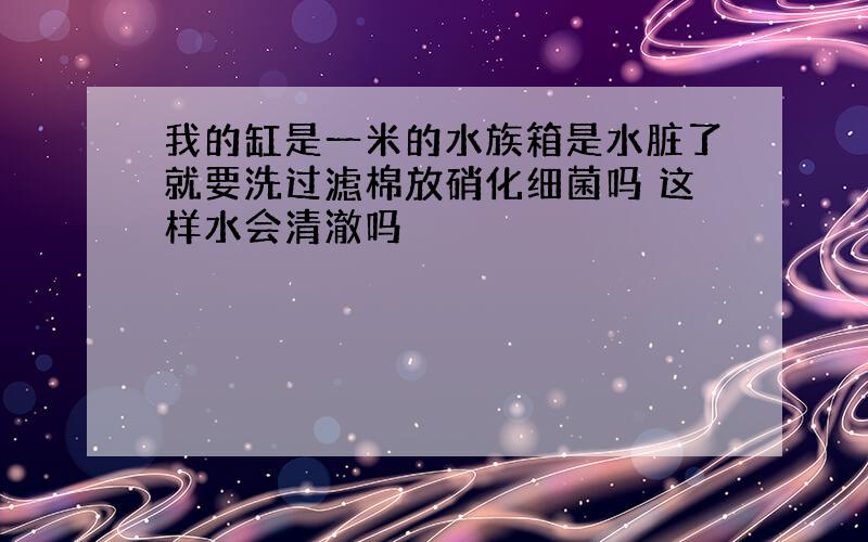 我的缸是一米的水族箱是水脏了就要洗过滤棉放硝化细菌吗 这样水会清澈吗