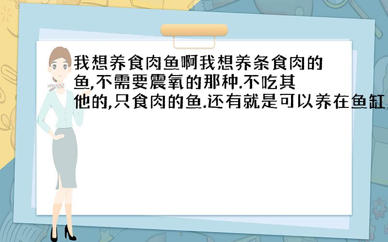 我想养食肉鱼啊我想养条食肉的鱼,不需要震氧的那种.不吃其他的,只食肉的鱼.还有就是可以养在鱼缸里面的.不要给我说鳄鱼这些