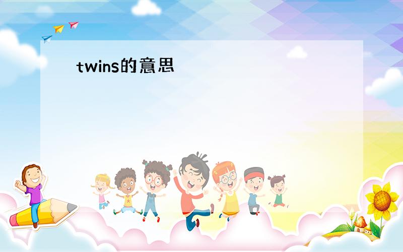 twins的意思