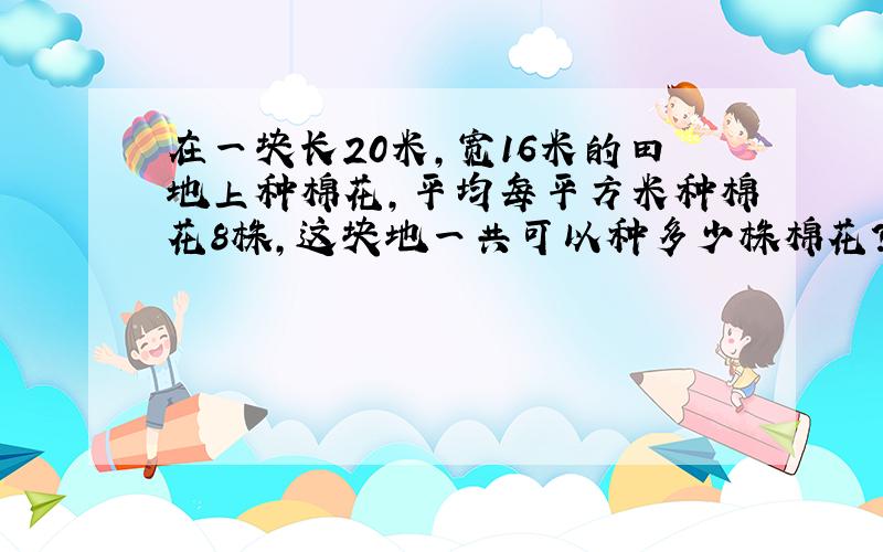 在一块长20米，宽16米的田地上种棉花，平均每平方米种棉花8株，这块地一共可以种多少株棉花？