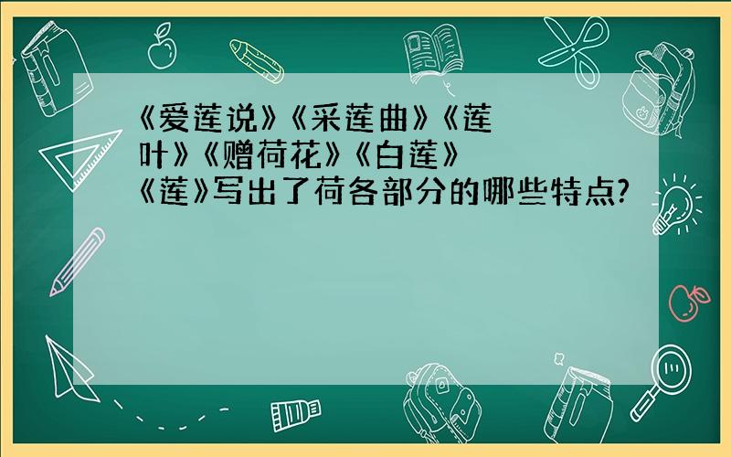 《爱莲说》 《采莲曲》 《莲叶》 《赠荷花》 《白莲》 《莲》写出了荷各部分的哪些特点?