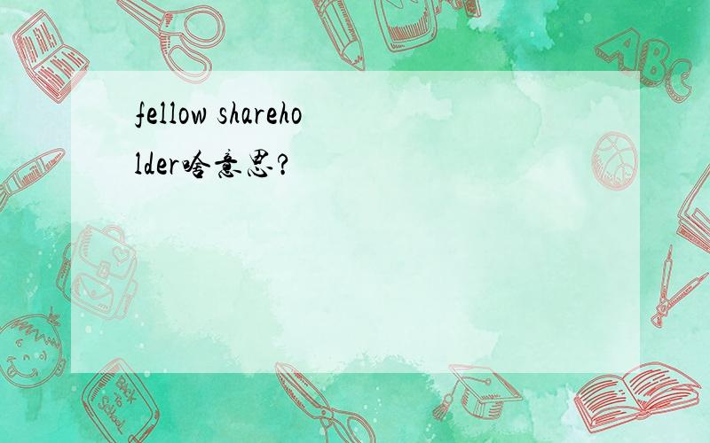 fellow shareholder啥意思?