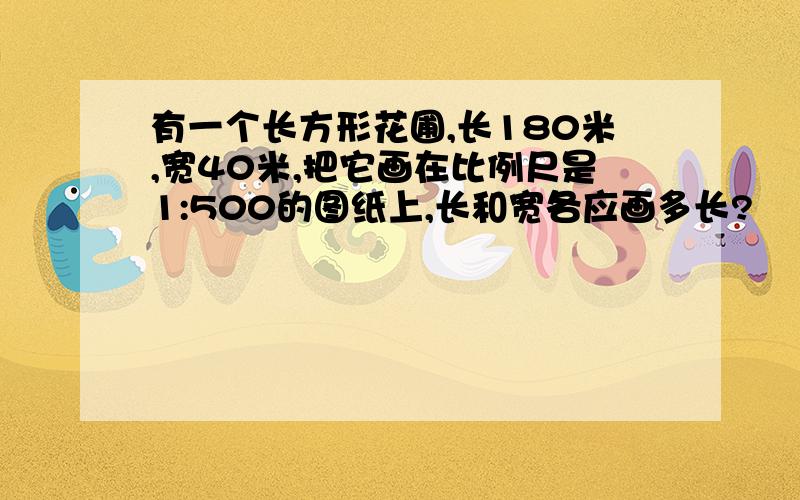 有一个长方形花圃,长180米,宽40米,把它画在比例尺是1:500的图纸上,长和宽各应画多长?