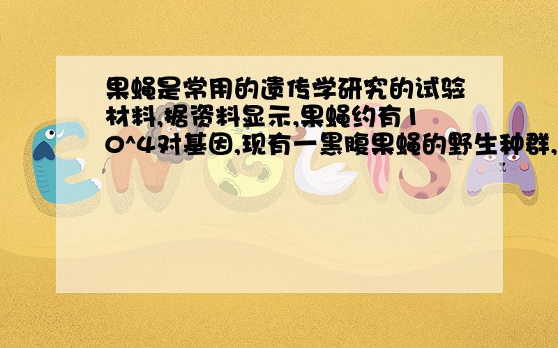 果蝇是常用的遗传学研究的试验材料,据资料显示,果蝇约有10^4对基因,现有一黑腹果蝇的野生种群,约有10^7个个体.已知