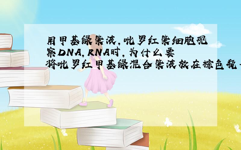 用甲基绿染液,吡罗红染细胞观察DNA,RNA时,为什么要将吡罗红甲基绿混合染液放在棕色瓶子里?