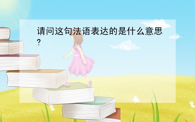 请问这句法语表达的是什么意思?