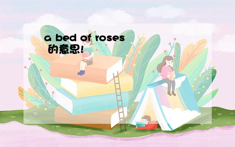 a bed of roses 的意思!