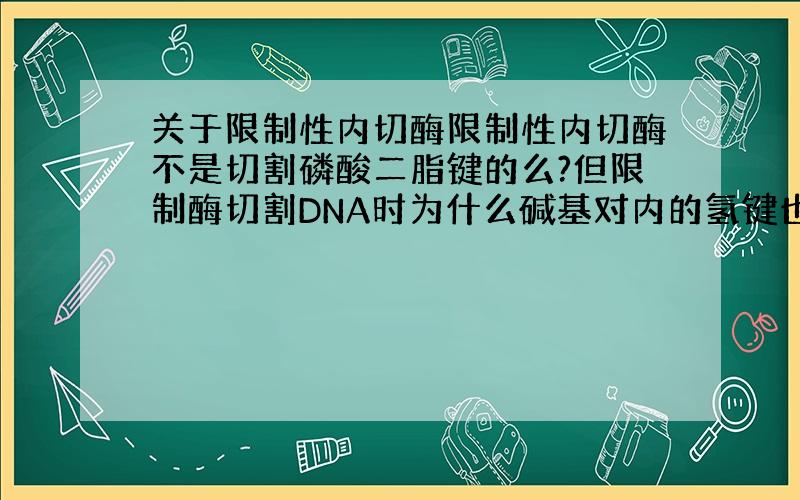 关于限制性内切酶限制性内切酶不是切割磷酸二脂键的么?但限制酶切割DNA时为什么碱基对内的氢键也会断裂啊?