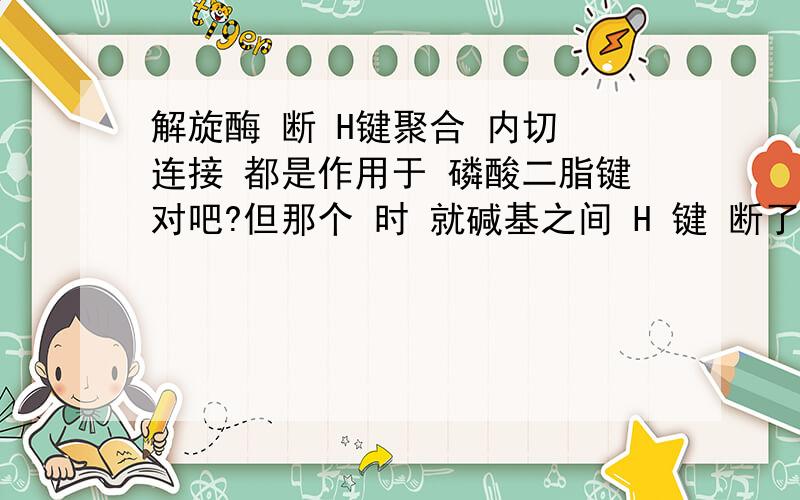 解旋酶 断 H键聚合 内切 连接 都是作用于 磷酸二脂键对吧?但那个 时 就碱基之间 H 键 断了吧..重新聚合卷起来的