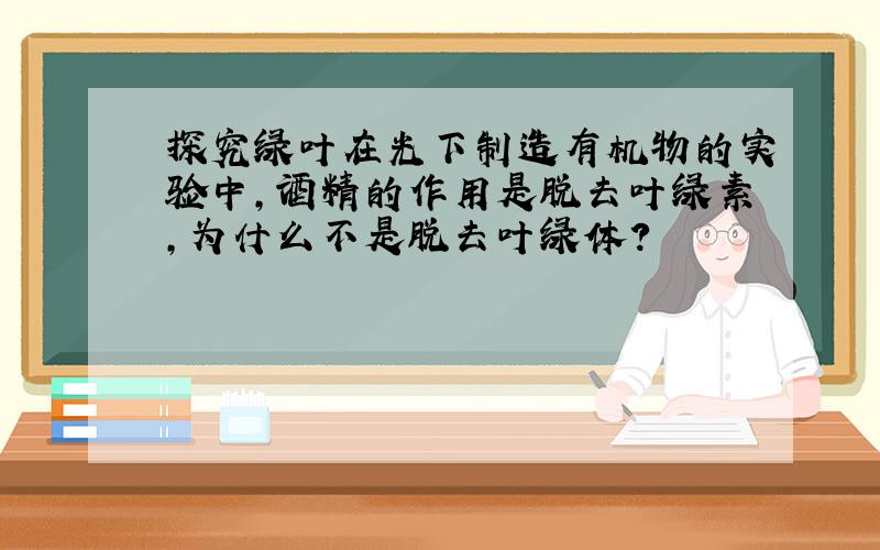 探究绿叶在光下制造有机物的实验中,酒精的作用是脱去叶绿素,为什么不是脱去叶绿体?