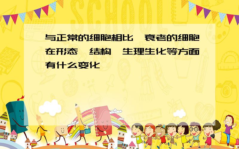 与正常的细胞相比,衰老的细胞在形态,结构,生理生化等方面有什么变化