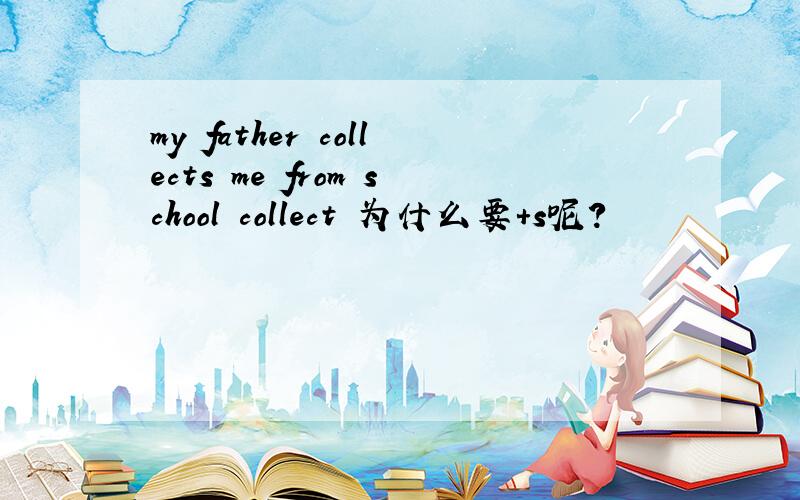 my father collects me from school collect 为什么要+s呢?