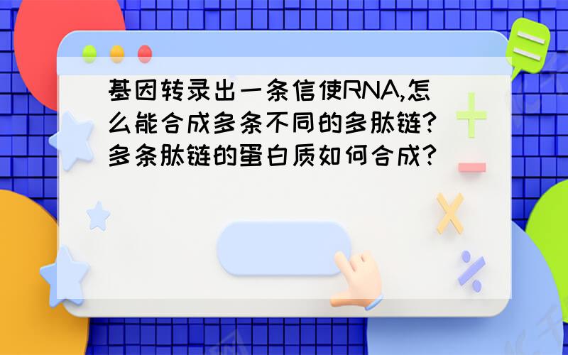 基因转录出一条信使RNA,怎么能合成多条不同的多肽链?（多条肽链的蛋白质如何合成?）