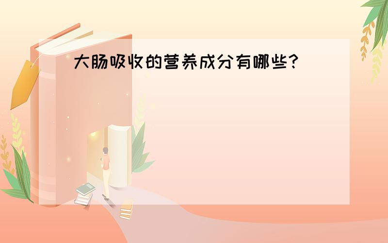 大肠吸收的营养成分有哪些?