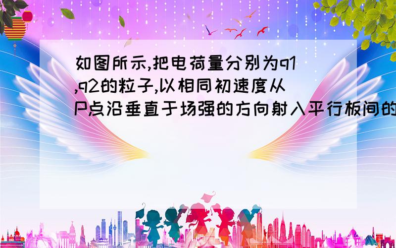 如图所示,把电荷量分别为q1,q2的粒子,以相同初速度从P点沿垂直于场强的方向射入平行板间的匀强电场中