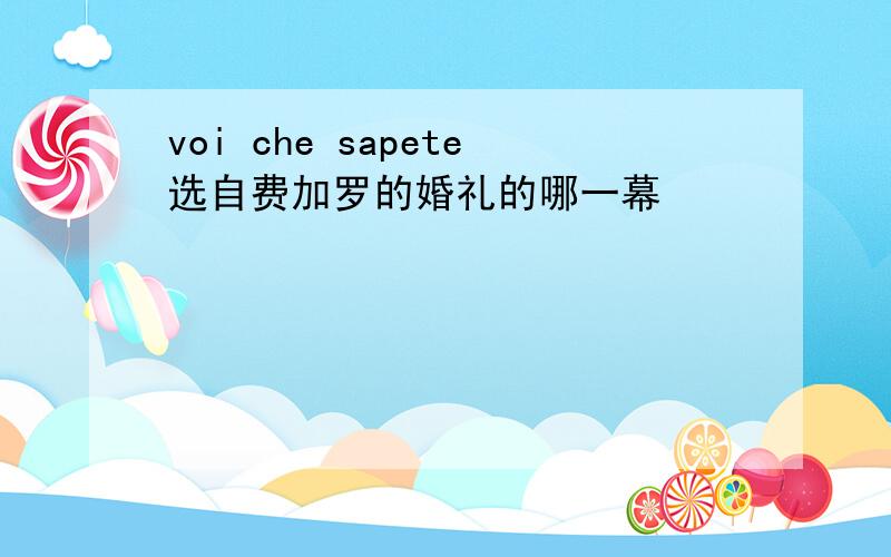 voi che sapete选自费加罗的婚礼的哪一幕