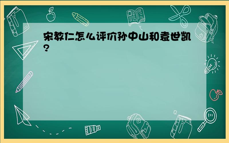 宋教仁怎么评价孙中山和袁世凯?