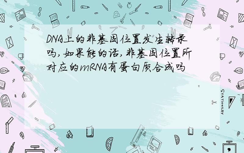 DNA上的非基因位置发生转录吗,如果能的话,非基因位置所对应的mRNA有蛋白质合成吗