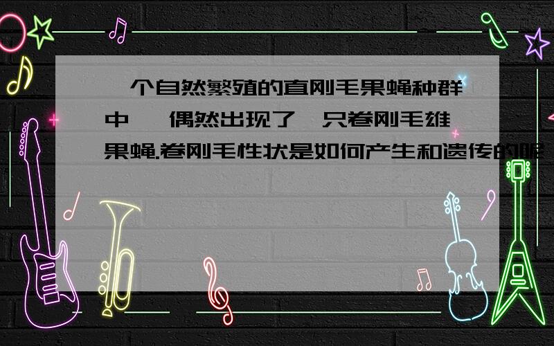 一个自然繁殖的直刚毛果蝇种群中 ,偶然出现了一只卷刚毛雄果蝇.卷刚毛性状是如何产生和遗传的呢 有一种假说认为这是亲代生殖