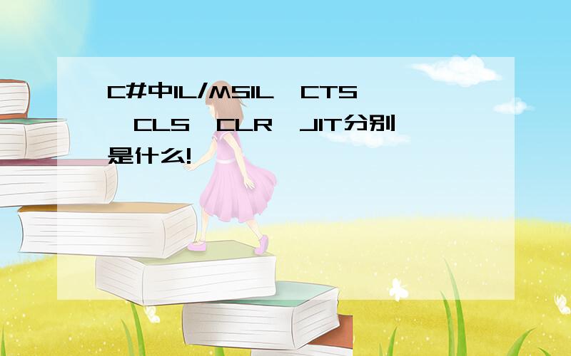 C#中IL/MSIL,CTS,CLS,CLR,JIT分别是什么!