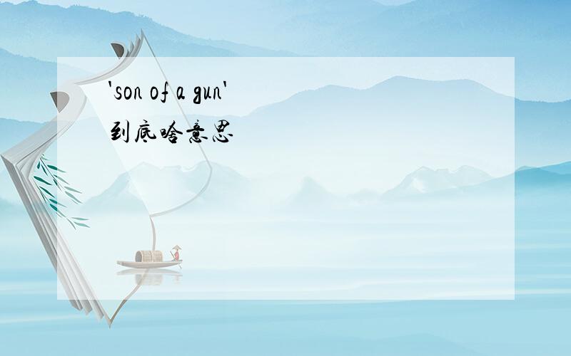 'son of a gun'到底啥意思