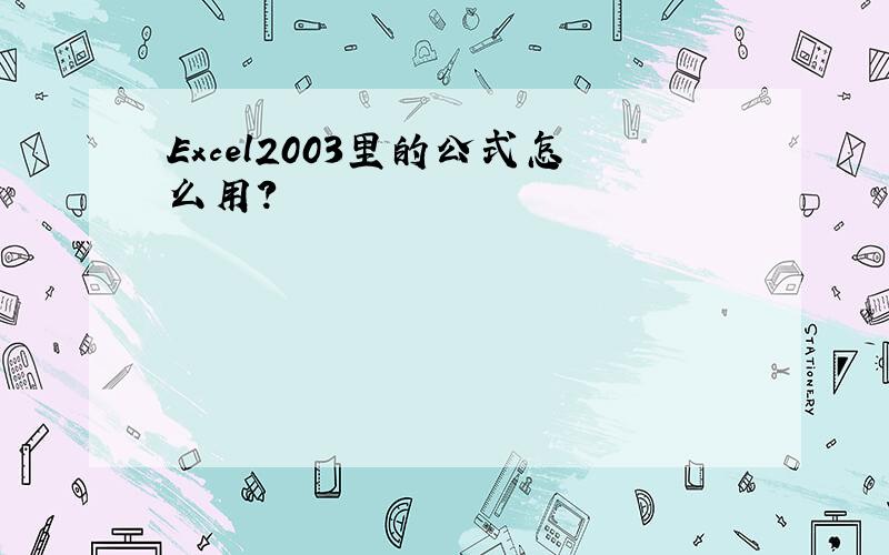 Excel2003里的公式怎么用?