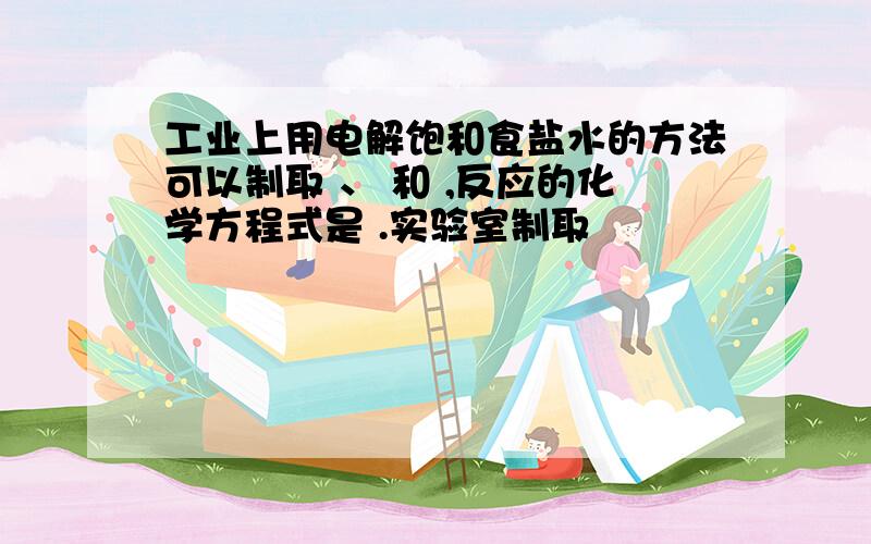 工业上用电解饱和食盐水的方法可以制取 、 和 ,反应的化学方程式是 .实验室制取