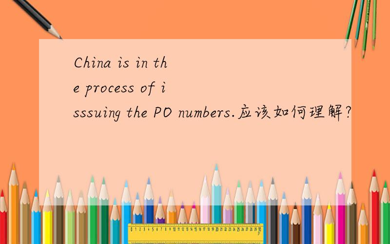 China is in the process of isssuing the PO numbers.应该如何理解?