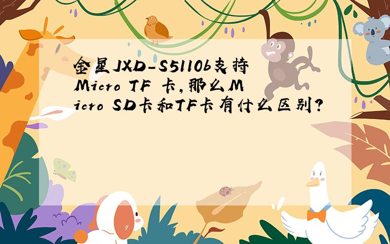 金星JXD-S5110b支持Micro TF 卡,那么Micro SD卡和TF卡有什么区别?