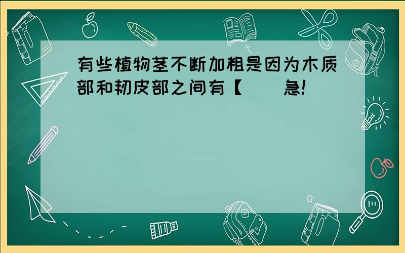 有些植物茎不断加粗是因为木质部和韧皮部之间有【 ] 急!