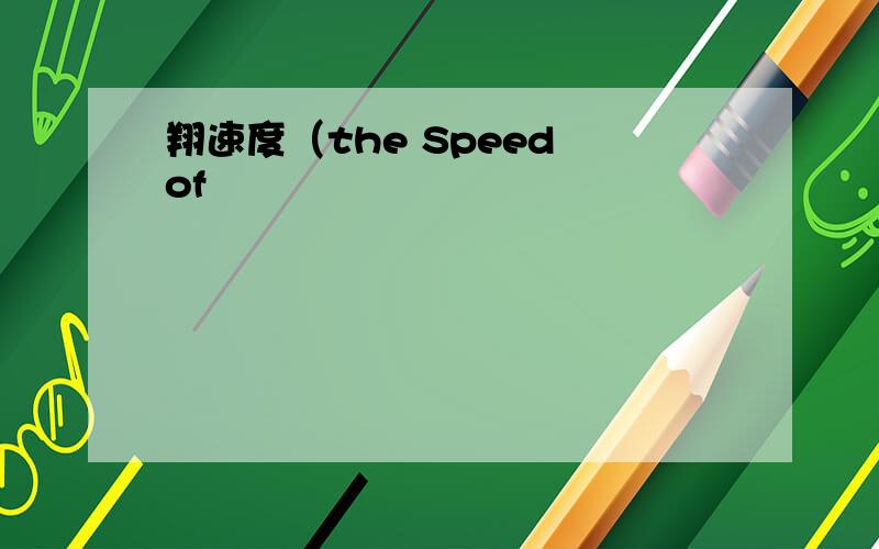 翔速度（the Speed of