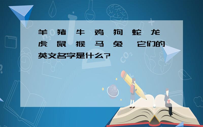 羊、猪、牛、鸡、狗、蛇、龙、虎、鼠、猴、马、兔、 它们的英文名字是什么?