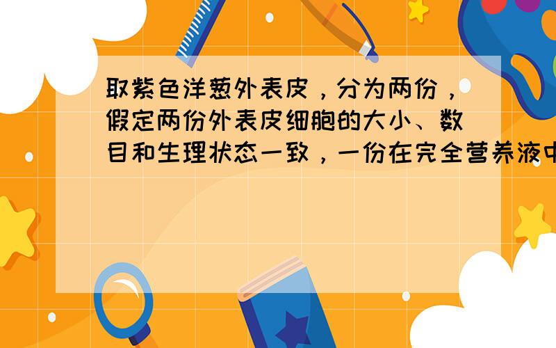 取紫色洋葱外表皮，分为两份，假定两份外表皮细胞的大小、数目和生理状态一致，一份在完全营养液中浸泡一段时间，浸泡后的外表皮