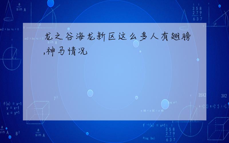 龙之谷海龙新区这么多人有翅膀,神马情况