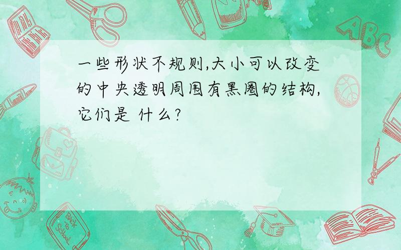 一些形状不规则,大小可以改变的中央透明周围有黑圈的结构,它们是 什么?