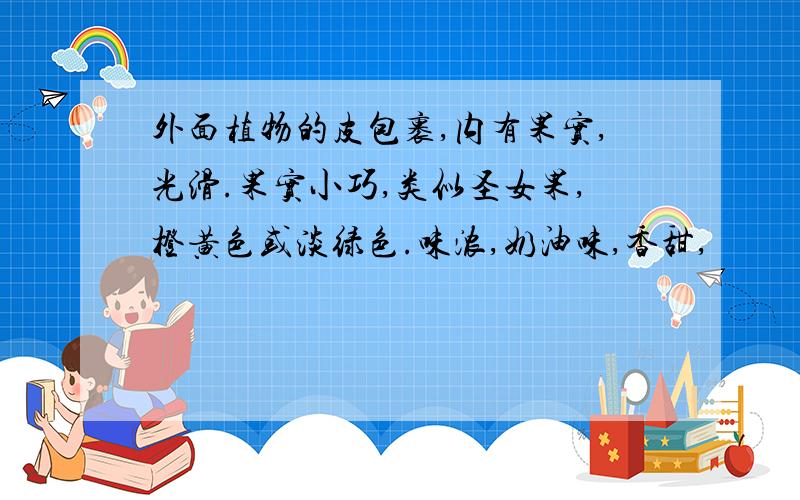 外面植物的皮包裹,内有果实,光滑.果实小巧,类似圣女果,橙黄色或淡绿色.味浓,奶油味,香甜,