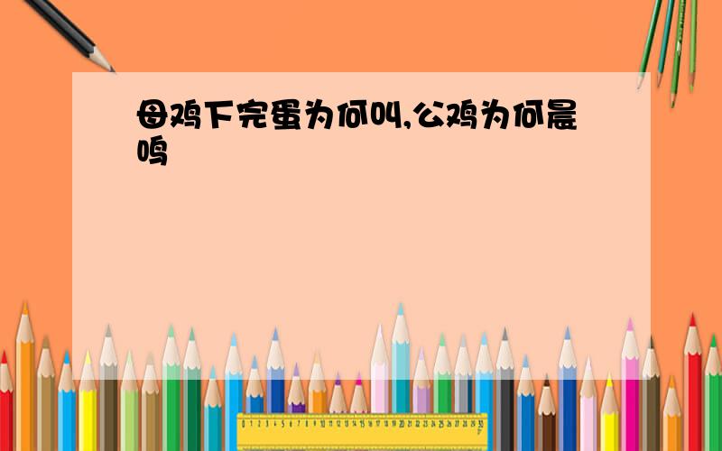 母鸡下完蛋为何叫,公鸡为何晨鸣