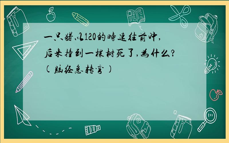 一只猪以120的时速往前冲,后来撞到一棵树死了,为什么?(脑经急转弯)