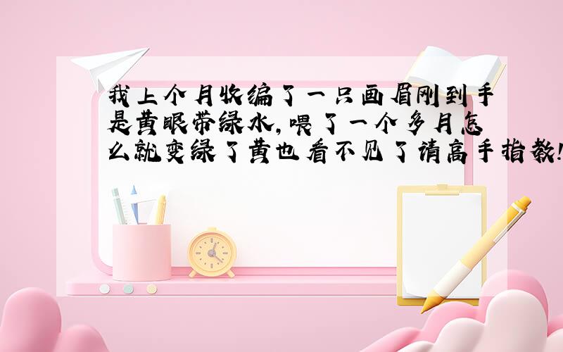 我上个月收编了一只画眉刚到手是黄眼带绿水,喂了一个多月怎么就变绿了黄也看不见了请高手指教!好还是不好?