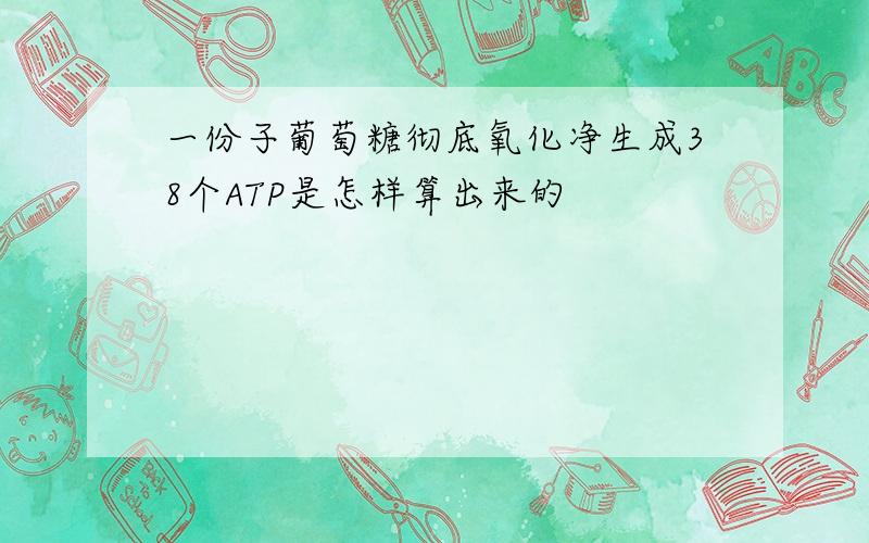 一份子葡萄糖彻底氧化净生成38个ATP是怎样算出来的