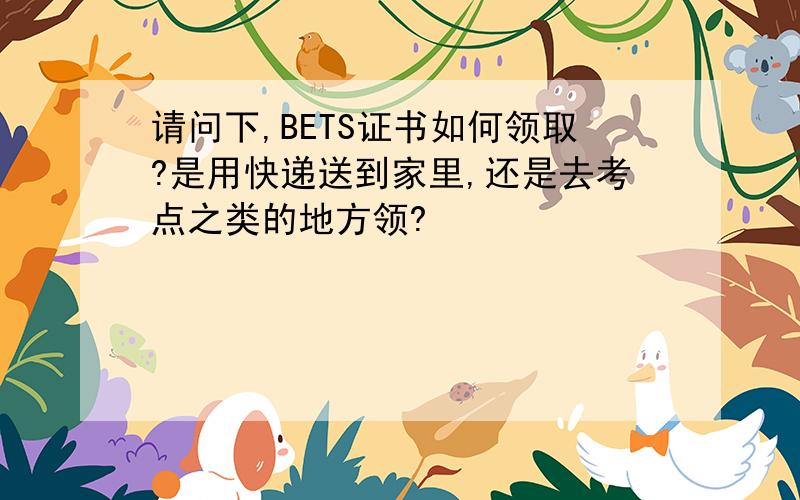 请问下,BETS证书如何领取?是用快递送到家里,还是去考点之类的地方领?