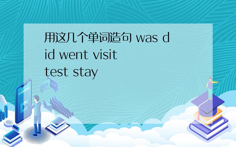 用这几个单词造句 was did went visit test stay