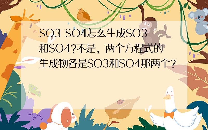 SO3 SO4怎么生成SO3和SO4?不是，两个方程式的生成物各是SO3和SO4那两个？