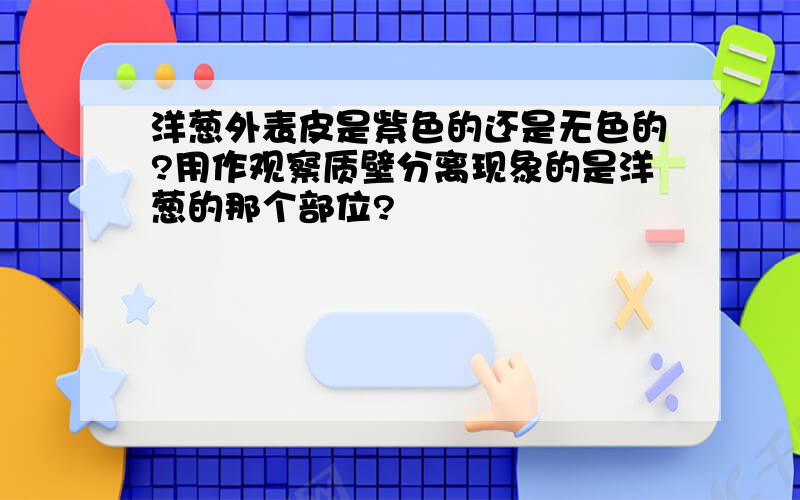 洋葱外表皮是紫色的还是无色的?用作观察质壁分离现象的是洋葱的那个部位?