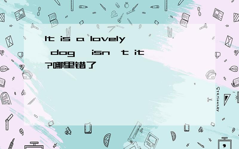 It is a lovely dog ,isn't it?哪里错了