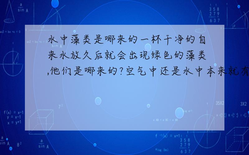 水中藻类是哪来的一杯干净的自来水放久后就会出现绿色的藻类,他们是哪来的?空气中还是水中本来就有的他们的孢子?