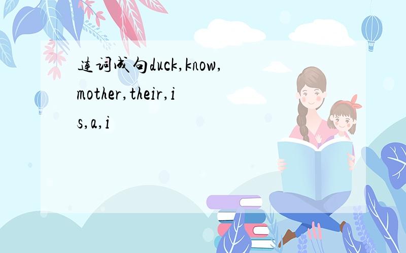 连词成句duck,know,mother,their,is,a,i